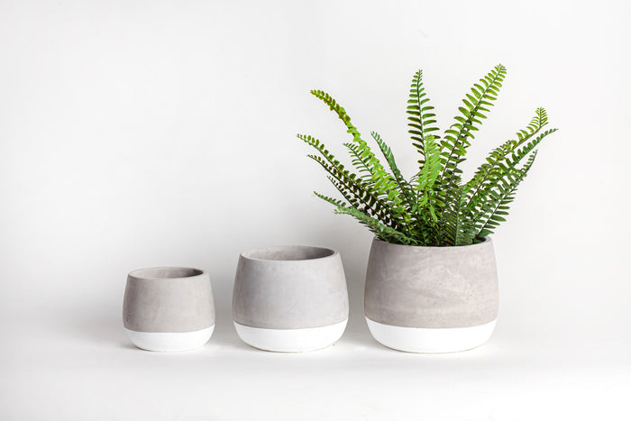 Ellie Pot CN1056