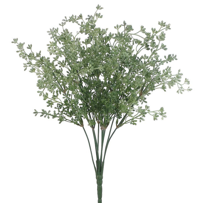 Frosted Green Eucalyptus Seed Bush