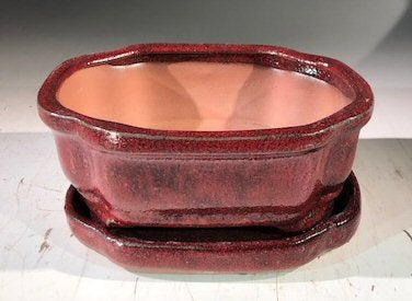 Parisian Red Ceramic Bonsai Pot -Rectangle-With Humidity Drip Tray-6 x 4.5 x 2.5