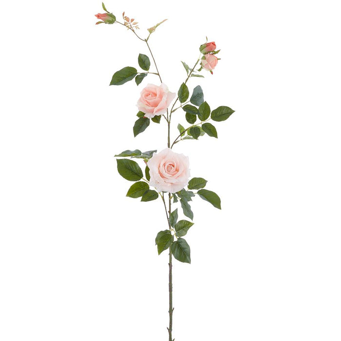 Peach Climbing Rose Spray