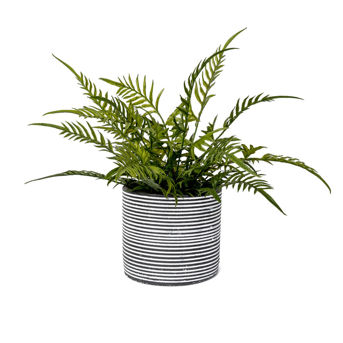 Stella Pot CN1055
