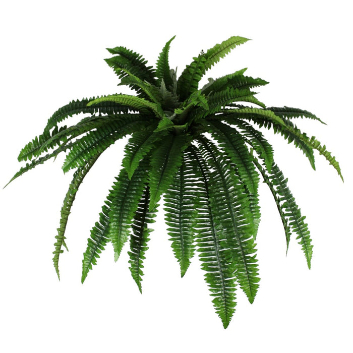 UV Protect Zoey Boston Fern Bush