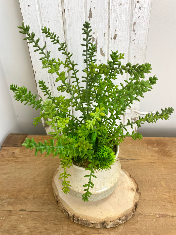 16" Jade Garden Centerpiece