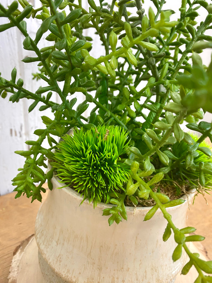 16" Jade Garden Centerpiece