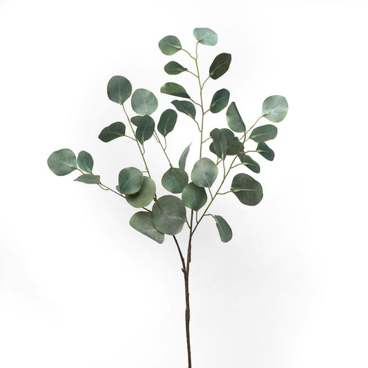 36" Eucalyptus Stem   ST1092