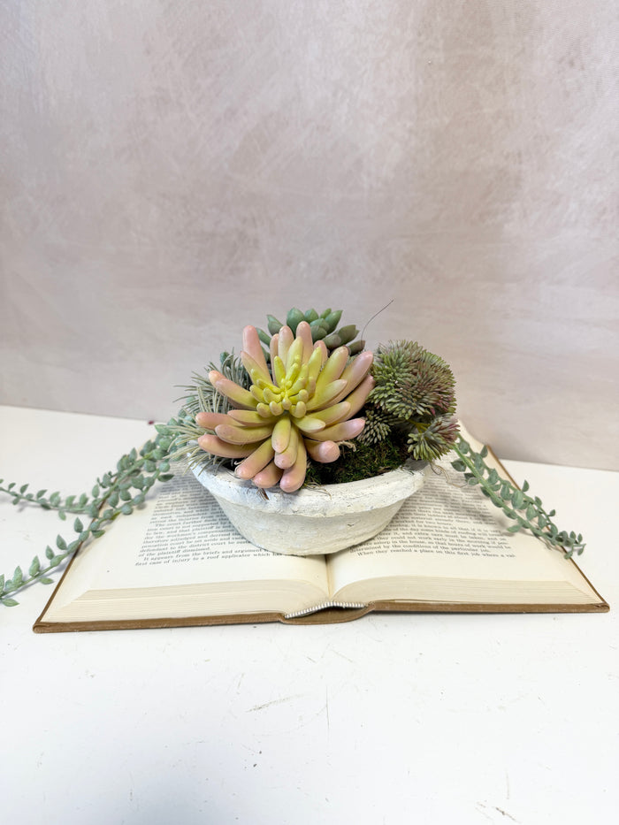 8" Suzie Succulent Centerpiece