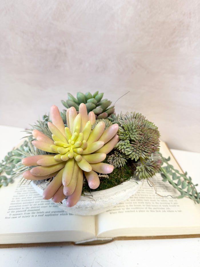 8" Suzie Succulent Centerpiece