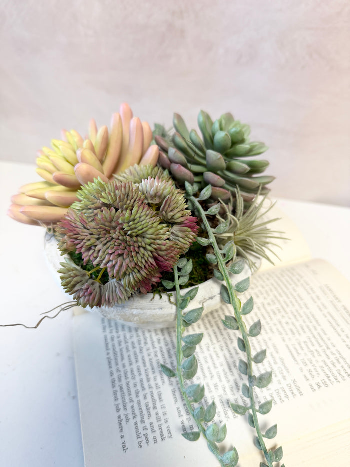 8" Suzie Succulent Centerpiece