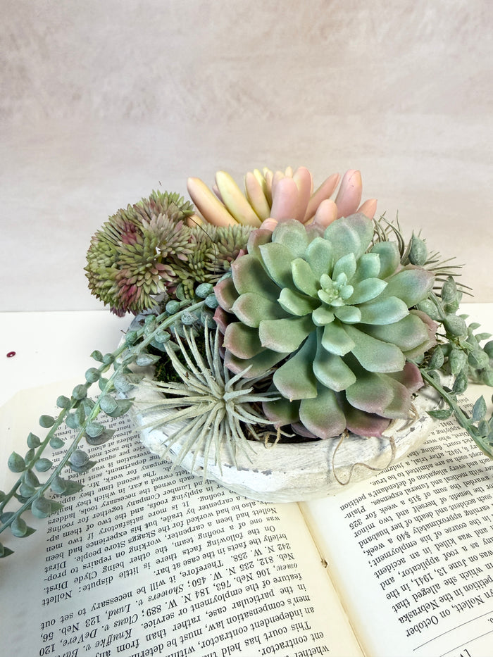 8" Suzie Succulent Centerpiece