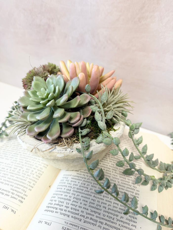 8" Suzie Succulent Centerpiece