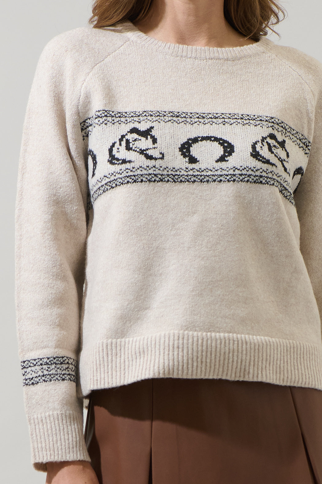 Camelot Horse Raglan Sleeve Sweater