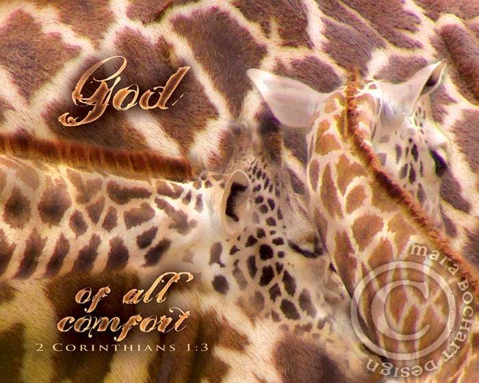 All Comfort - frameable print