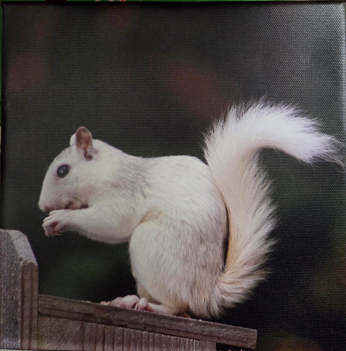 Pete