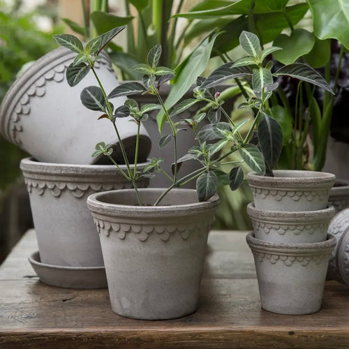 Bergs Potter: Københavner Raw Grey Set