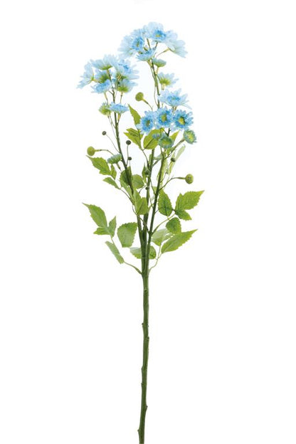 Blue Aster Daisy Spray