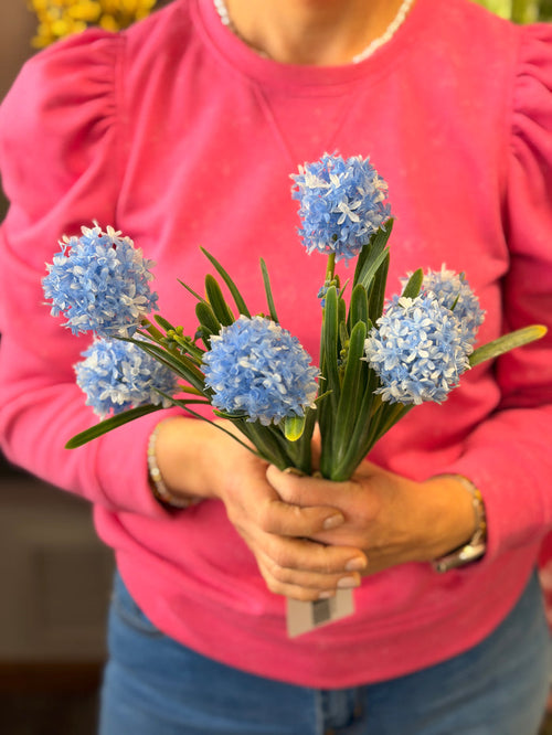 Blue Wild Allium Bundle
