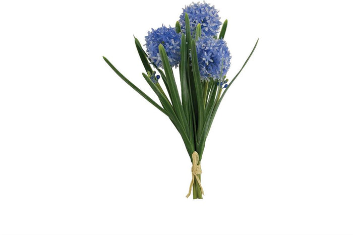 Blue Wild Allium Bundle