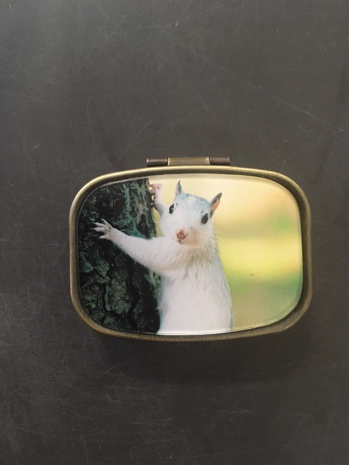 A brass pill box with a picture of a white squirrel on the top.