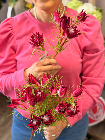 Silk burgundy wild protea spray 23.5 inch for transitional everyday home decor from Magnolias Home Decor