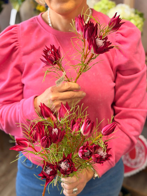 Silk burgundy wild protea spray 23.5 inch for transitional everyday home decor from Magnolias Home Decor