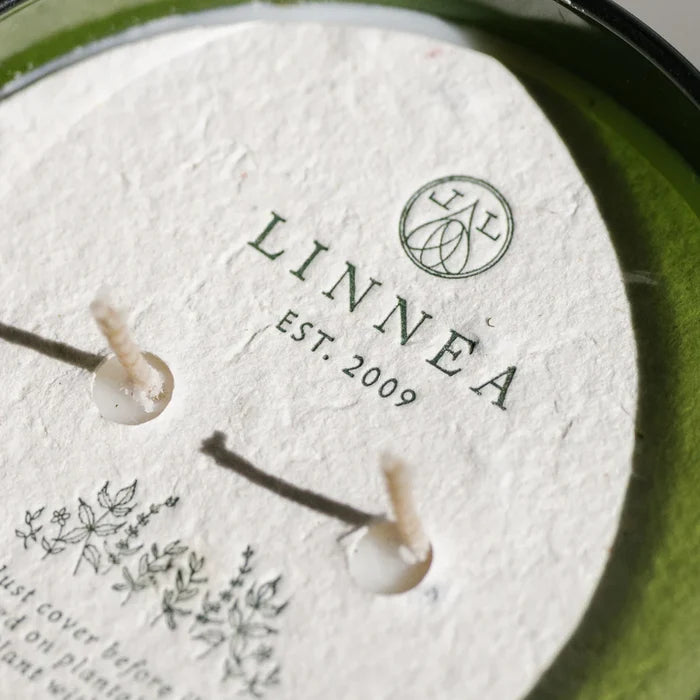 Crushed Mint Large Candle