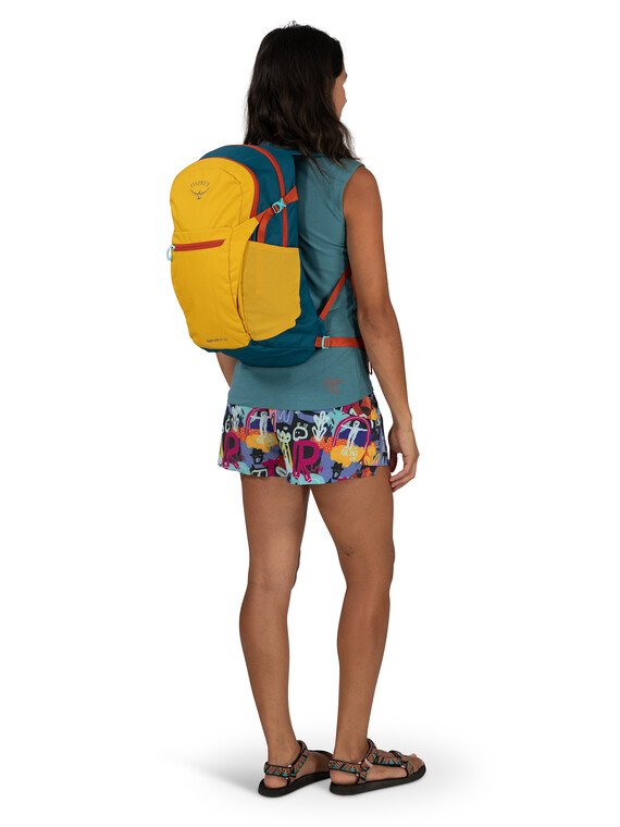 Daylite Plus