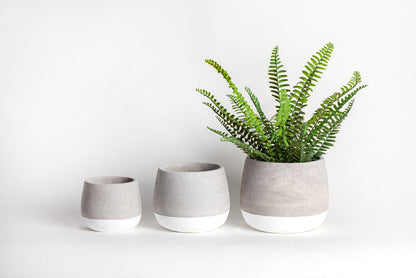 Ellie Pot   CN1056