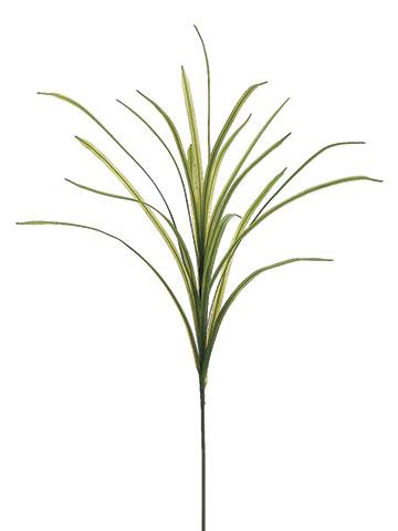Green Flax Grass Spray