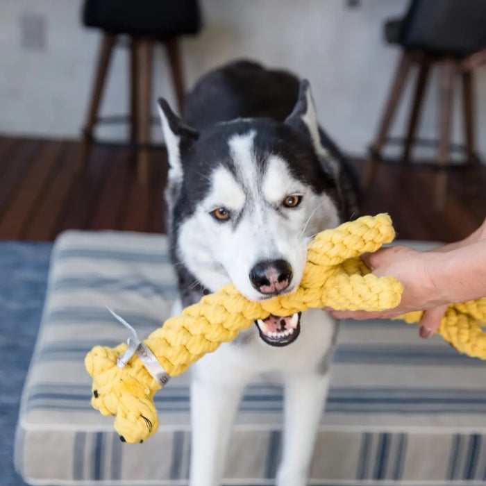 Jax & Bones: Giraffe Rope Toy