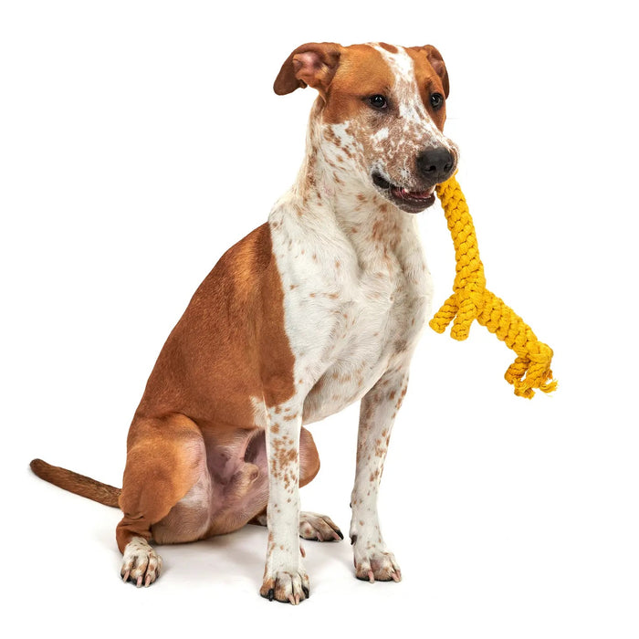 Jax & Bones: Giraffe Rope Toy