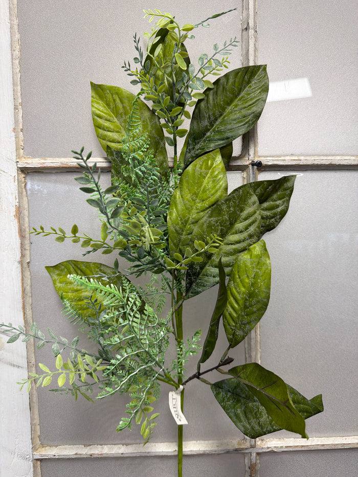 Magnolia Fern & Tea Leaf Spray