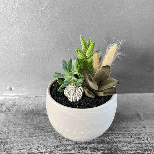 Marsh Succulent Garden W/ Dried Floral + Desert Rose Selenite Houseplant