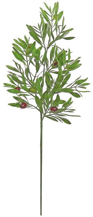 Mixed Olive Branch