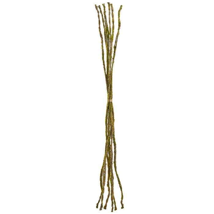 Nature Moss Twig Bundle