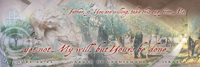 Not My Will pano - premium canvas