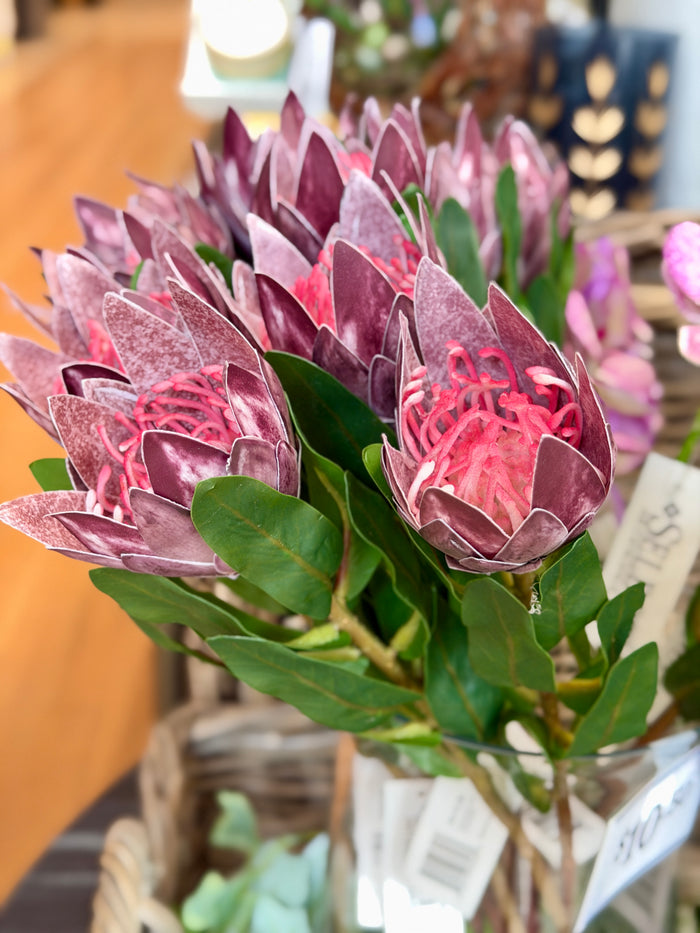 Plum King Protea Spray