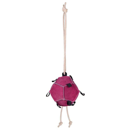 QHP Carrot Ball Horse Toy