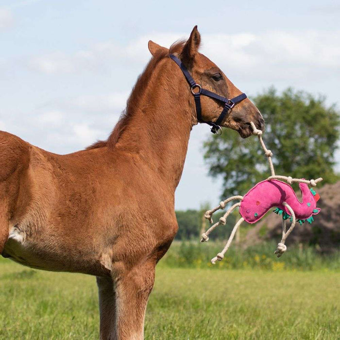 qhp pink unicorn horse toy and colt