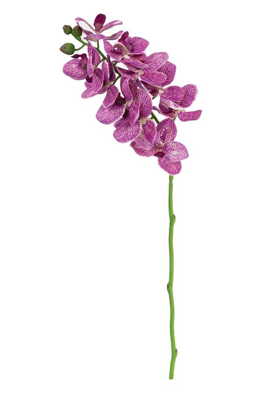 Real Touch Purple & Cream Orchid Spray