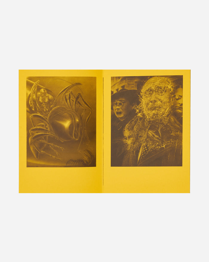 Innen Publishing Sybille Ruppert - Autodévoration Multicolor Books and Magazines Books IPSYBILLE 001