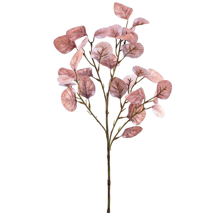 Tan Smoketree Leaf Spray