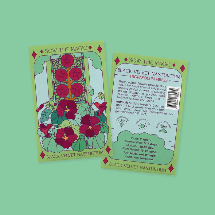 Black Velvet Nasturtium