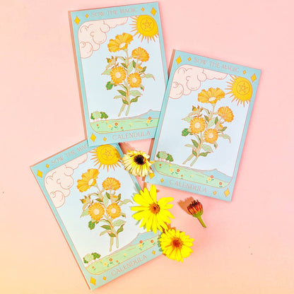 Tarot Garden Flower Seeds