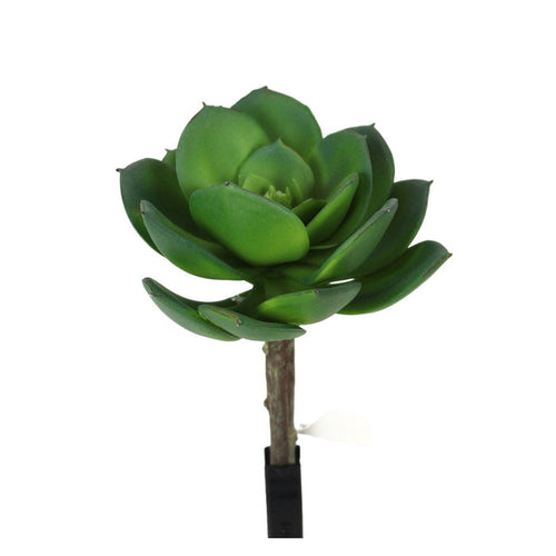 UV Protect Adeline Succulent Pick