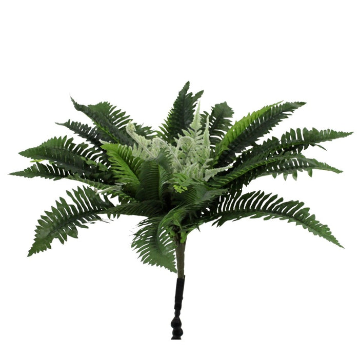 UV Protect Cleo Boston Fern Bush
