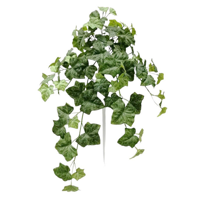 UV Protect Napa Ivy Hanging Bush