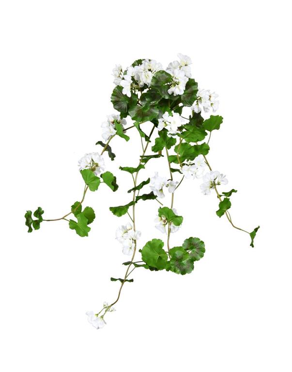 UV Protect White Soft Touch Geranium Hanging Bush