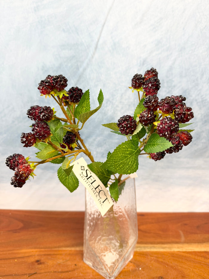 Wine Boysenberry Spray