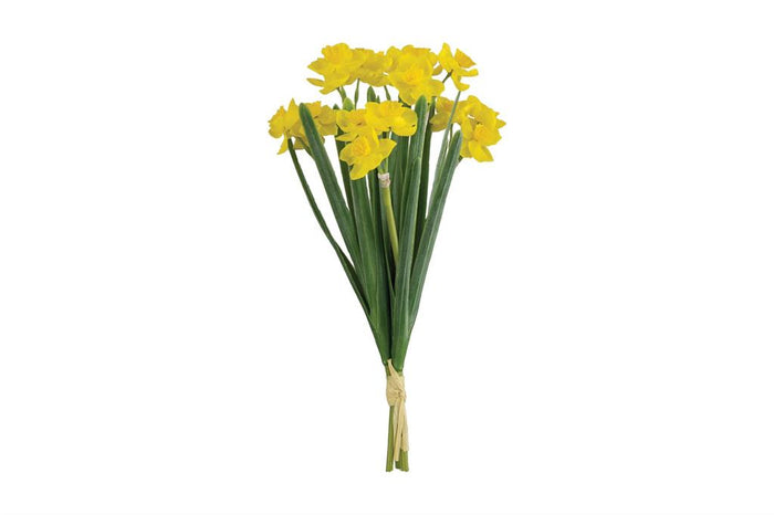Yellow Narcissus Bundle